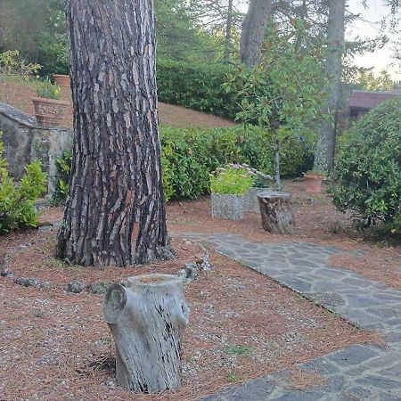 Villa Santa Margherita - La Suvera Ponte A Bozzone ภายนอก รูปภาพ