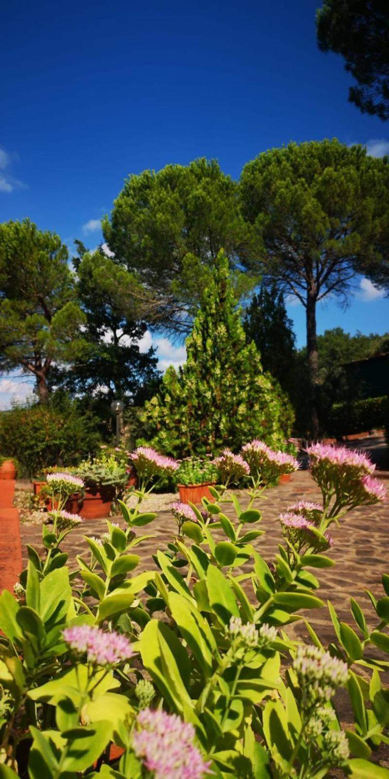 Villa Santa Margherita - La Suvera Ponte A Bozzone ภายนอก รูปภาพ