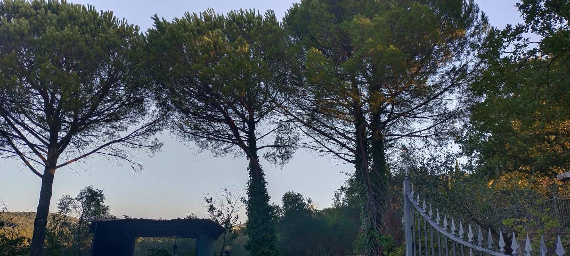 Villa Santa Margherita - La Suvera Ponte A Bozzone ภายนอก รูปภาพ